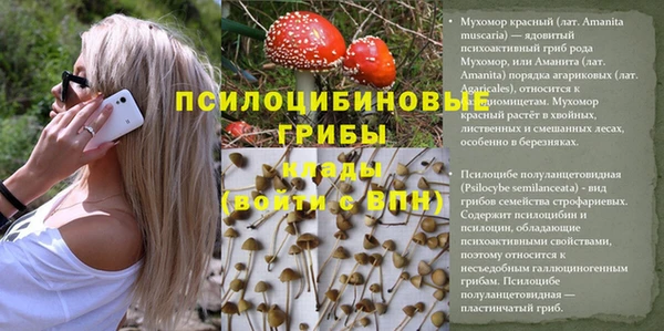 дживик Алексеевка