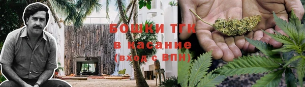 ГАЛЛЮЦИНОГЕННЫЕ ГРИБЫ Алзамай