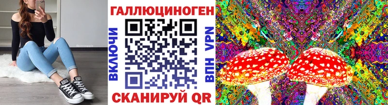 Псилоцибиновые грибы Psilocybe  закладка  Тверь 