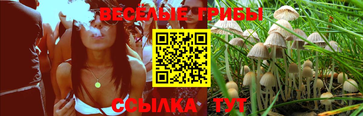 Псилоцибиновые грибы прущие грибы Тверь