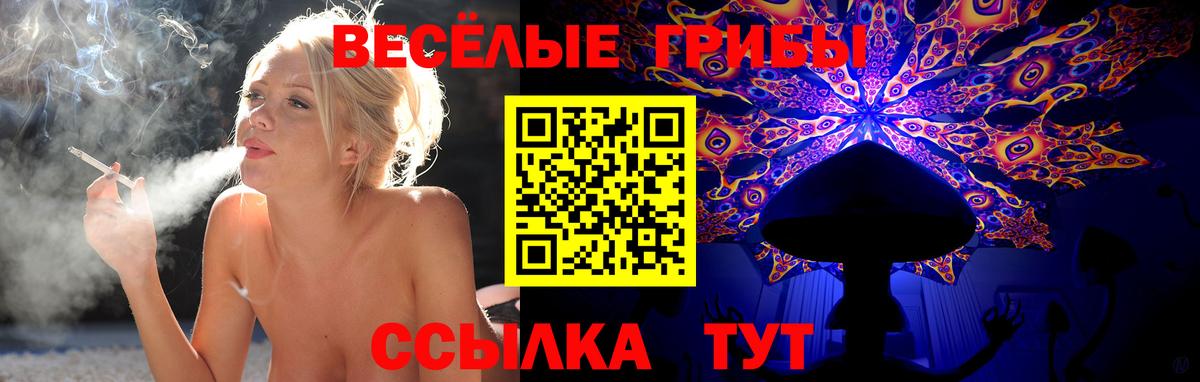 Тверь  Псилоцибиновые грибы ЛСД  Вход с VPN 
